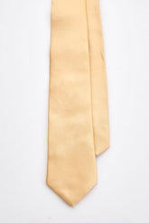 Champagne Gold Tie Set with Tie Bar & Cufflinks